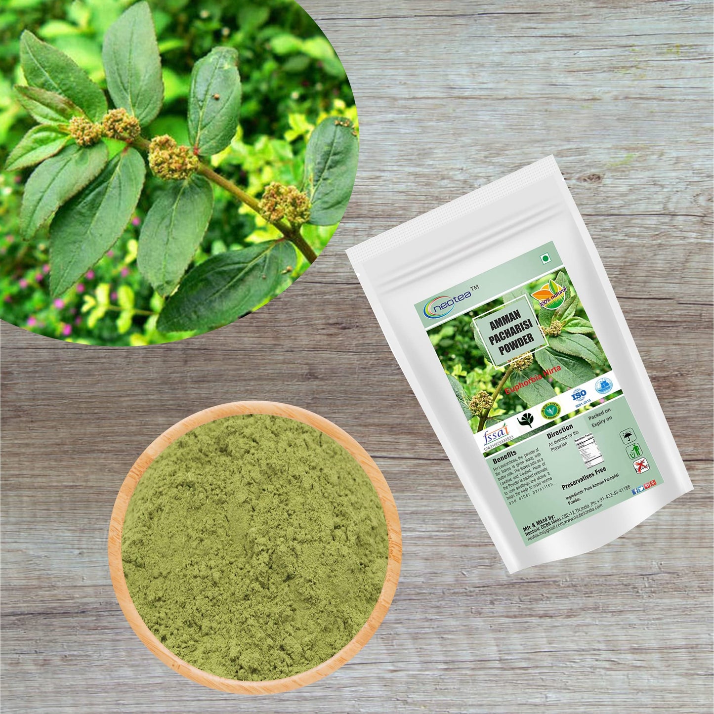 neotea Organic Euphorbia Hirta Powder | Amman Pacharisi | 300 GM (10.58 OZ) Pack of 1 | Premium Quality Herbal Supplement | 100% Pure and Natural | Boosts Immunity
