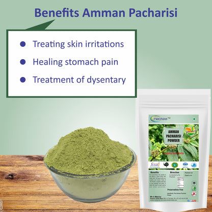 neotea Organic Euphorbia Hirta Powder | Amman Pacharisi | 300 GM (10.58 OZ) Pack of 1 | Premium Quality Herbal Supplement | 100% Pure and Natural | Boosts Immunity