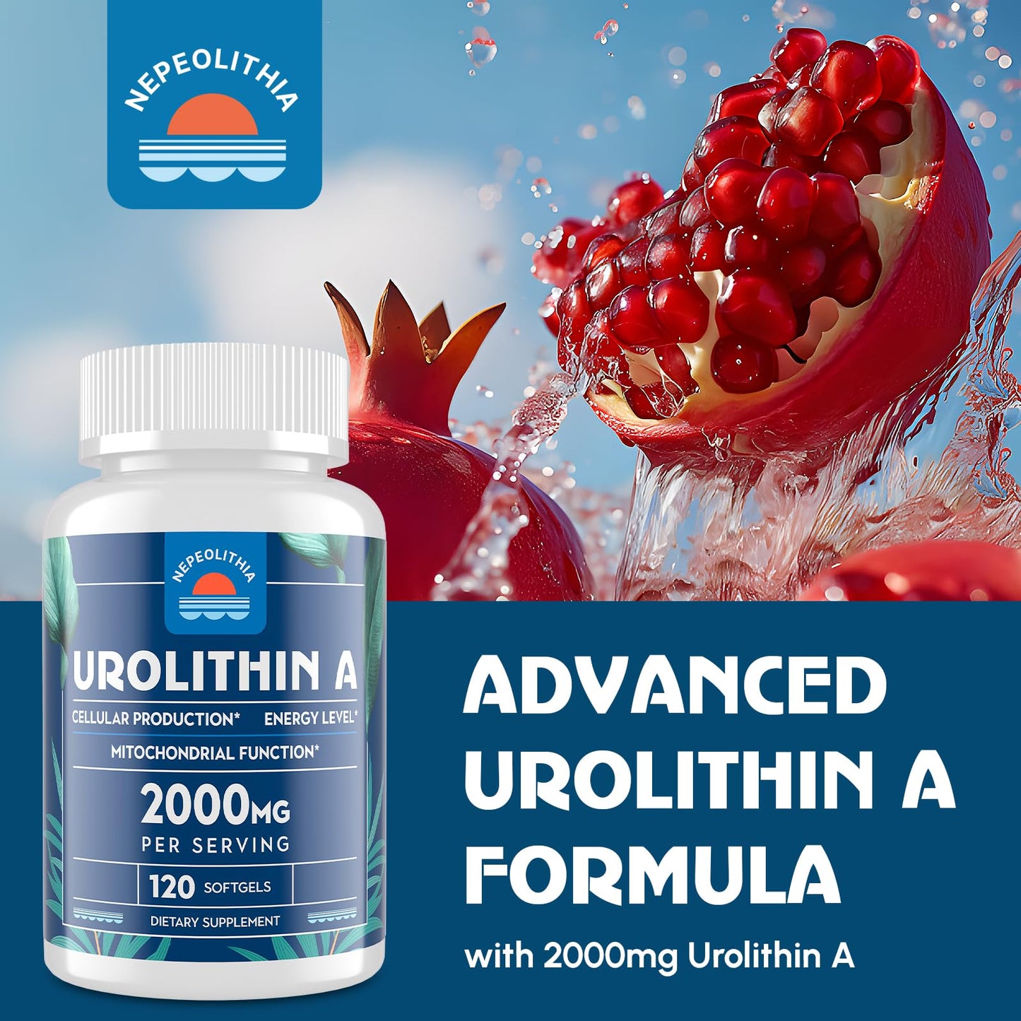 Nepeolithia Urolithin A 2000mg – Gluten Free, 120 Softgels