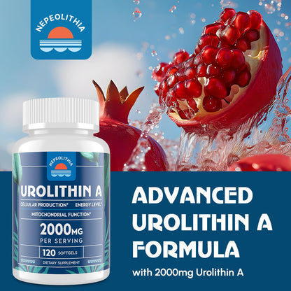 Nepeolithia Urolithin A 2000mg – Gluten Free, 120 Softgels