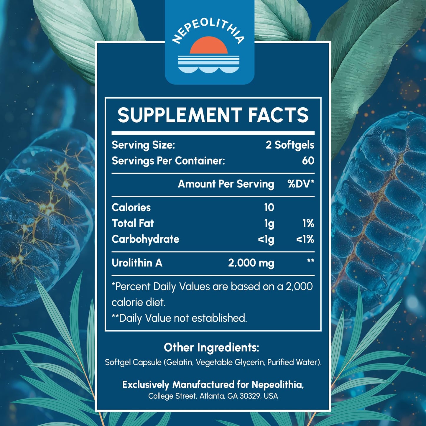 Nepeolithia Urolithin A 2000mg – Gluten Free, 120 Softgels