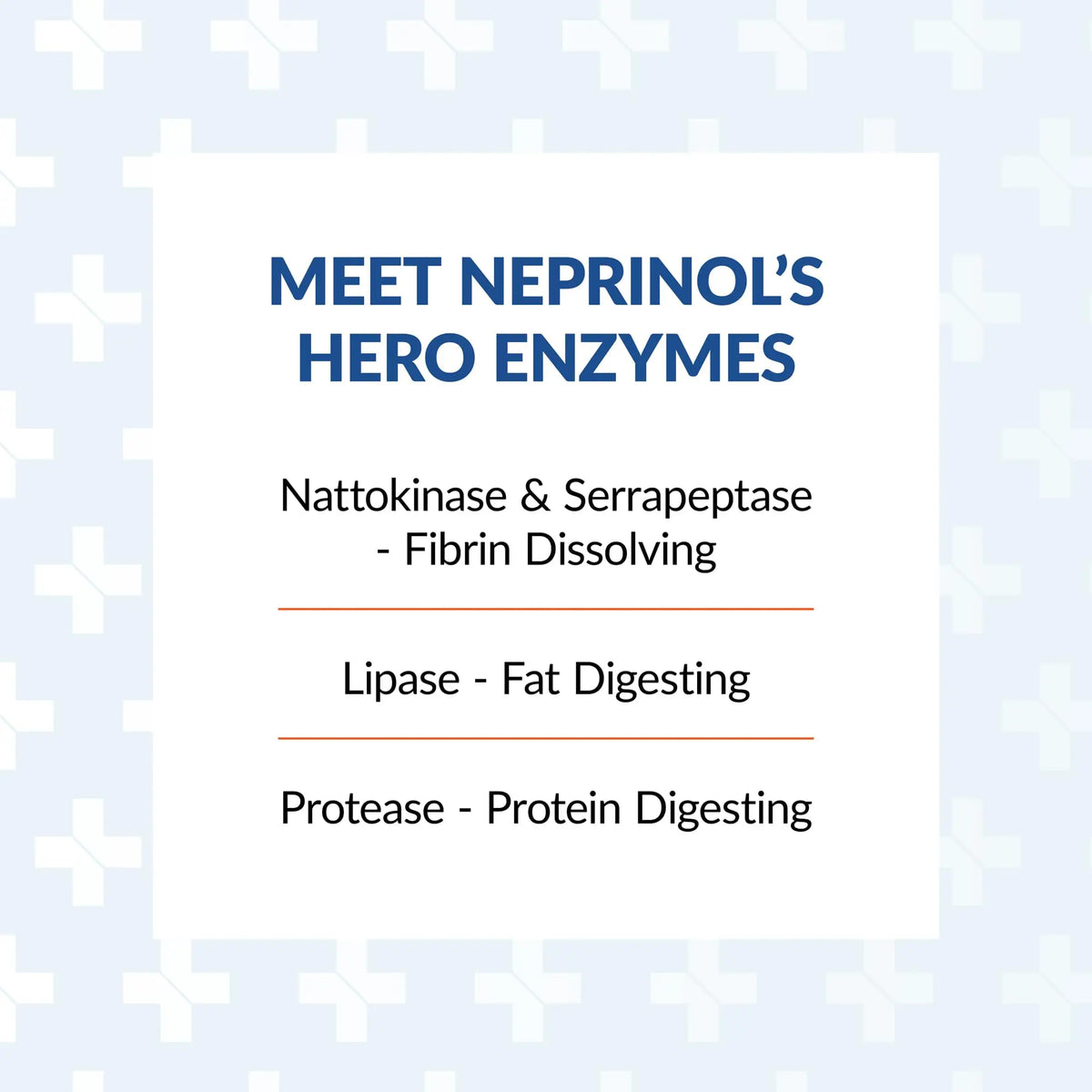 Arthur Andrew Medical Neprinol AFD - Multi Enzyme Blend with Serrapeptase & Nattokinase (300 Count) BritishVita | Premium UK Vitamins & Wellness Supplements