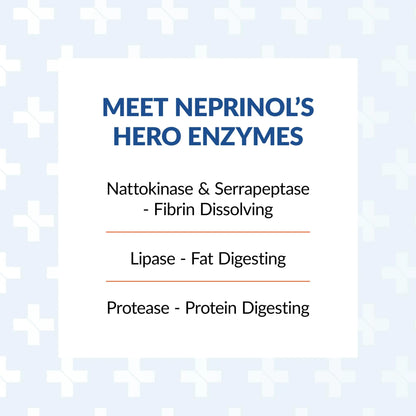 Arthur Andrew Medical Neprinol AFD - Multi Enzyme Blend with Serrapeptase & Nattokinase (300 Count) BritishVita | Premium UK Vitamins & Wellness Supplements