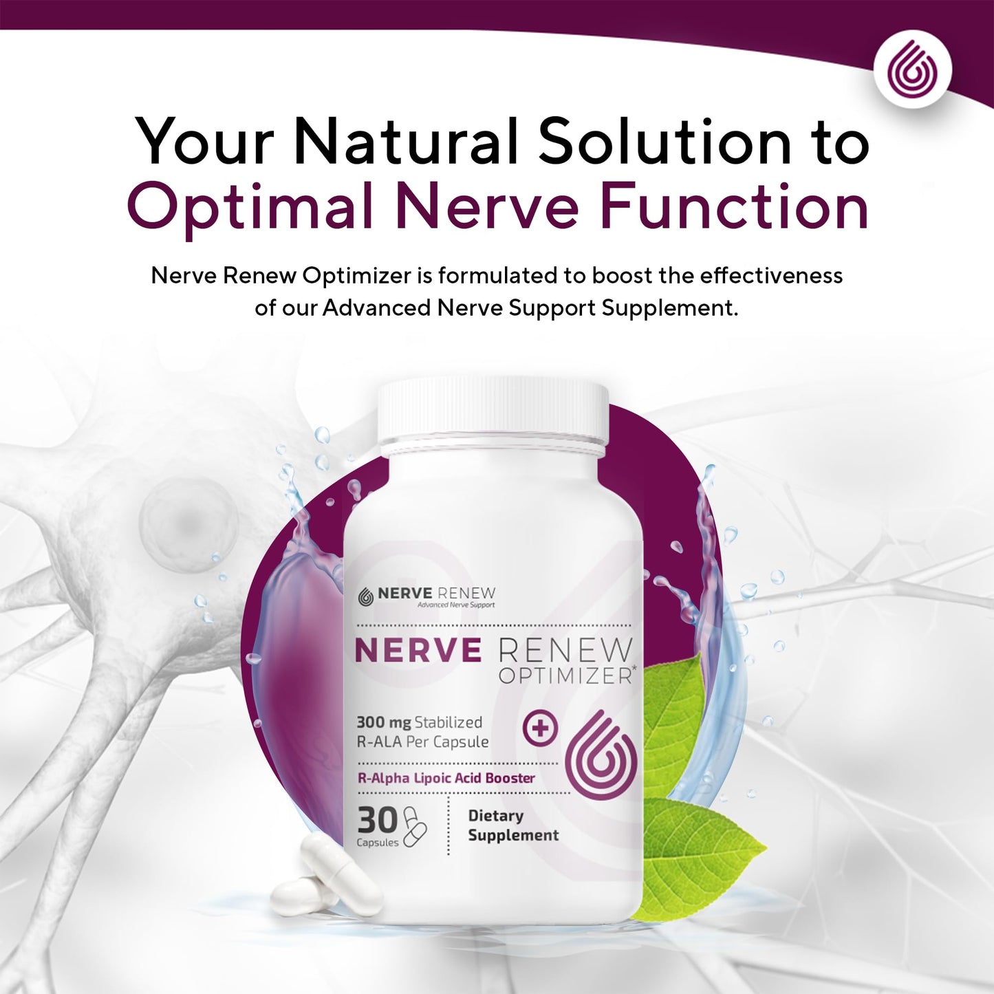 NERVE RENEW Optimizer | 30 Capsules | 300 mg Stabilized R-Alpha Lipoic Acid