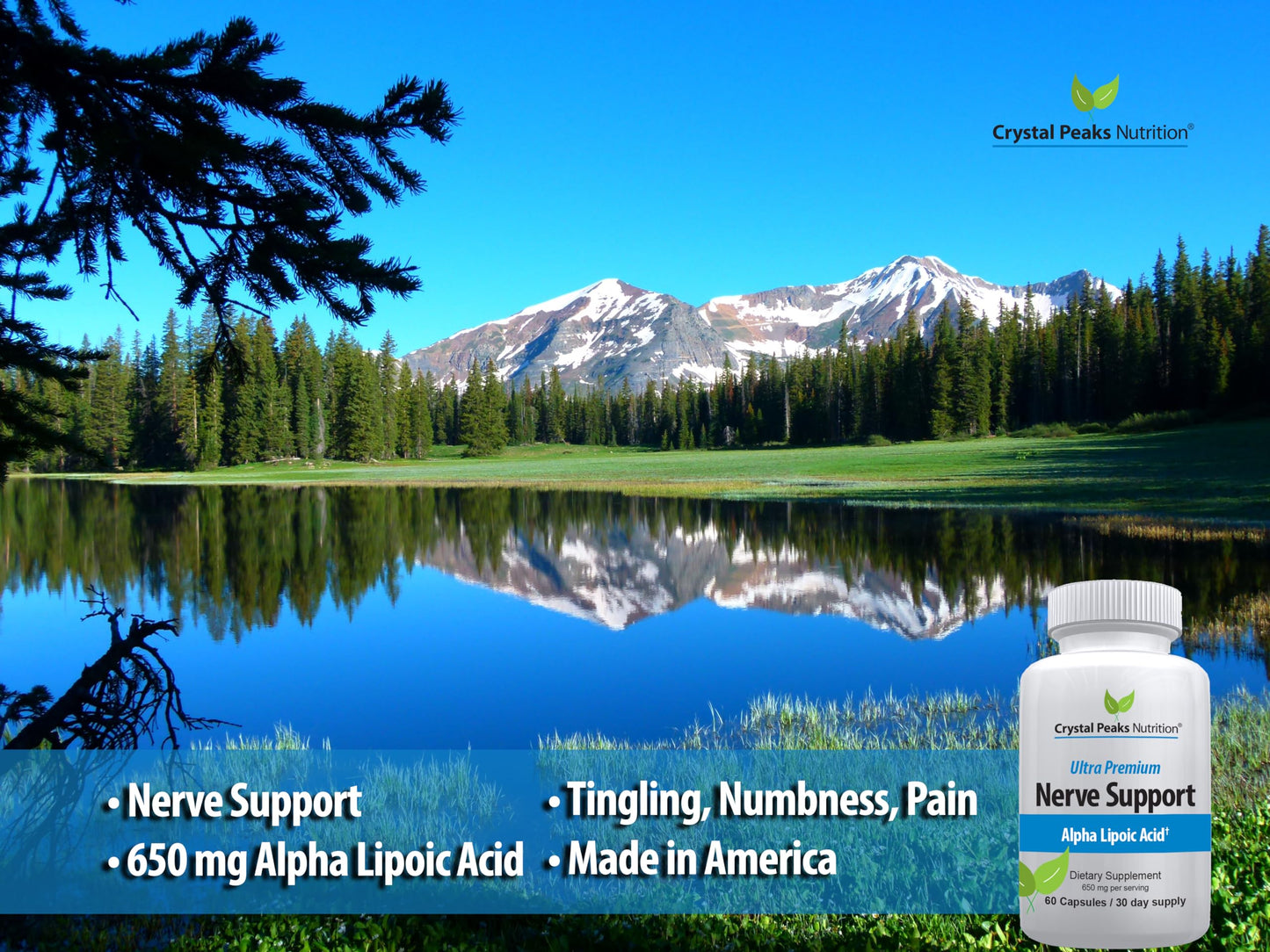 Nerve Support Supplement - 650mg ALA Alpha Lipoic Acid | Non-GMO Veggie Capsules