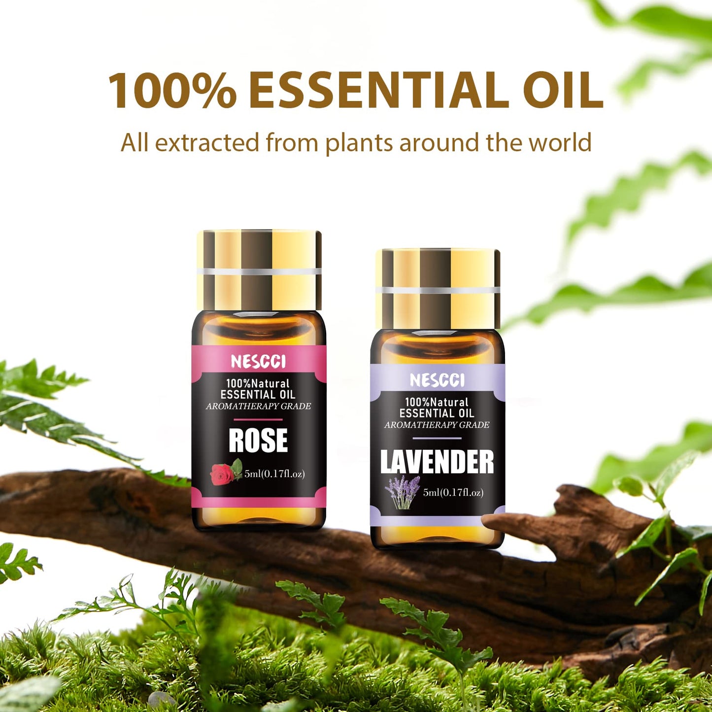 NESCCI Essential Oil Gift Set – 18x5ml for Diffusers, Candles & Holidays