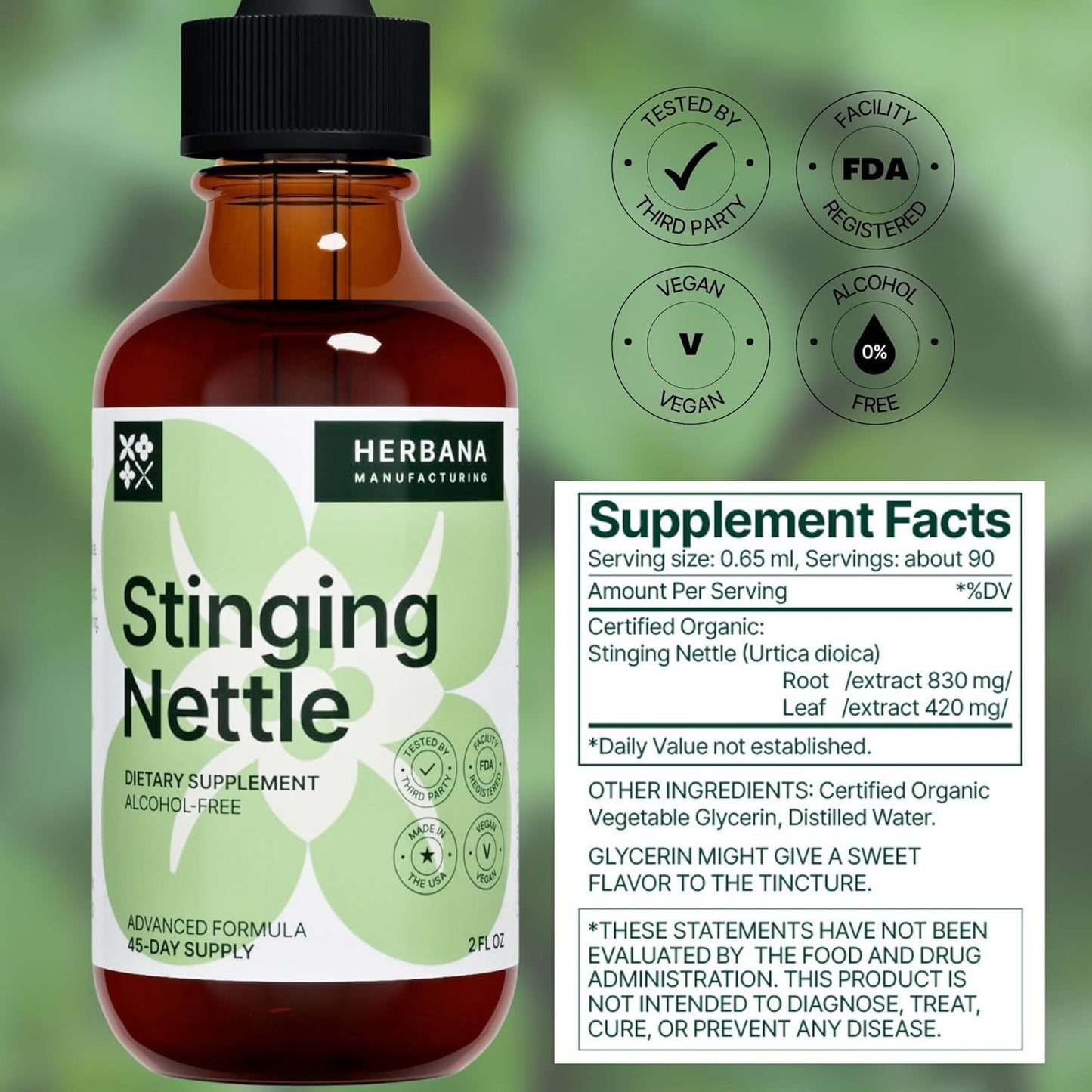 Stinging Nettle Leaf & Root Liquid Extract – Urinary & Kidney Support (2 oz) | Organic Urtica Dioica