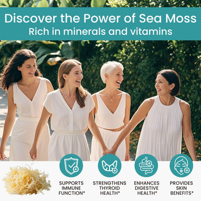 NEUMINA 1215mg Sea Moss Capsules - 90 Count | USA Made, Vegan Adaptogens