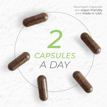 Neurogan Ginkgo Biloba Capsules - Memory & Focus (90 Vegan Capsules)