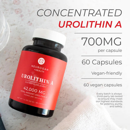 Neurogan Urolithin A 700mg Capsules – Postbiotic Cellular Health, 60 Count – Made in USA BritishVita | Premium UK Vitamins & Wellness Supplements
