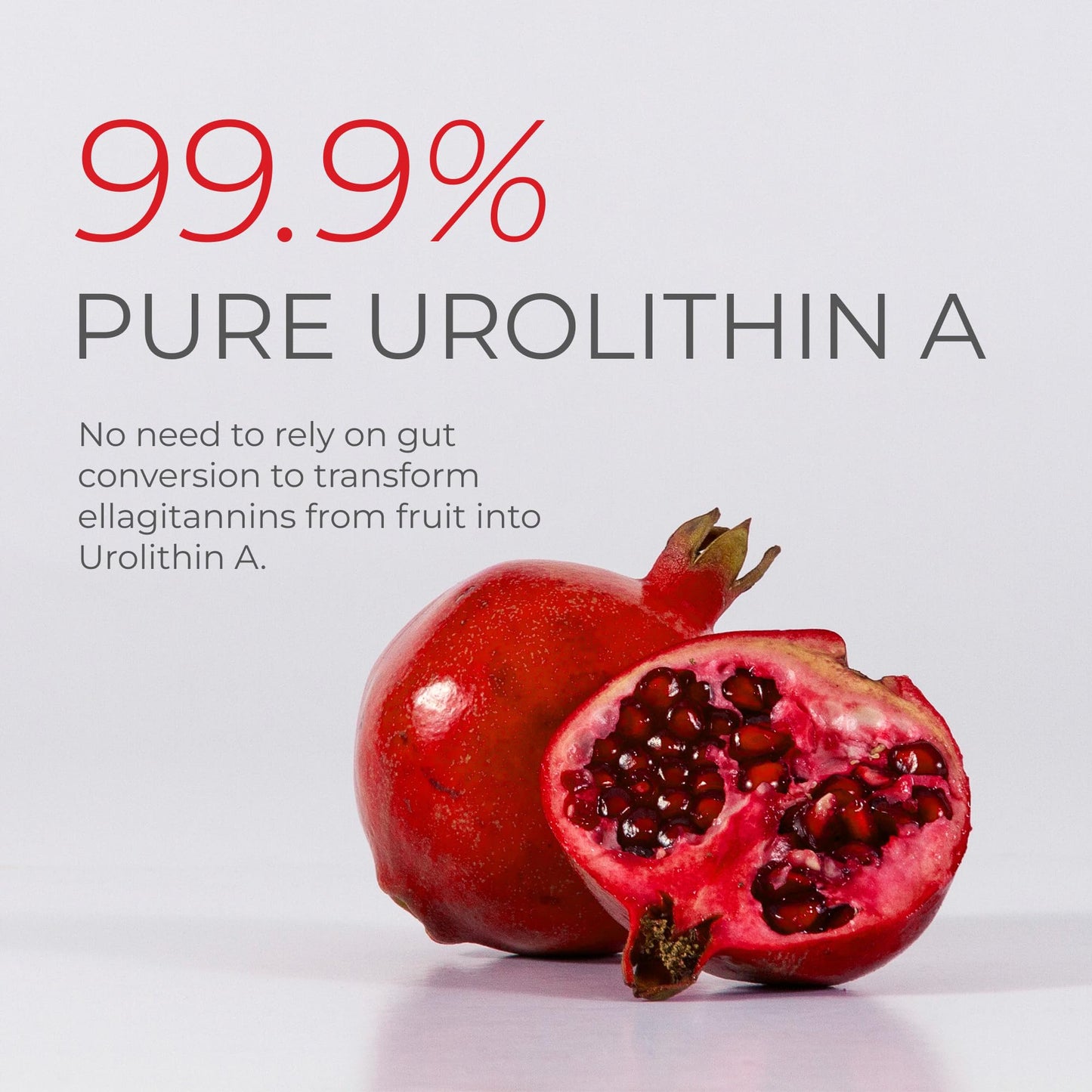 Neurogan Urolithin A Powder 800mg – Daily Wellness, Vegan & Gluten-Free | 30.4g