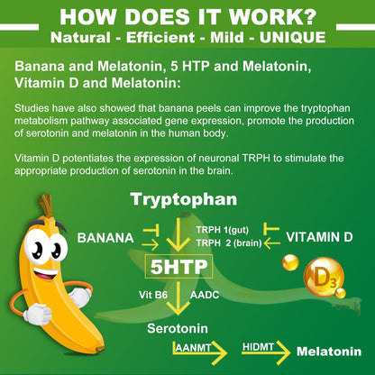 NEVISS 1Pack 5-HTP Gummies + GABA – Melatonin Free, Sleep & Relaxation