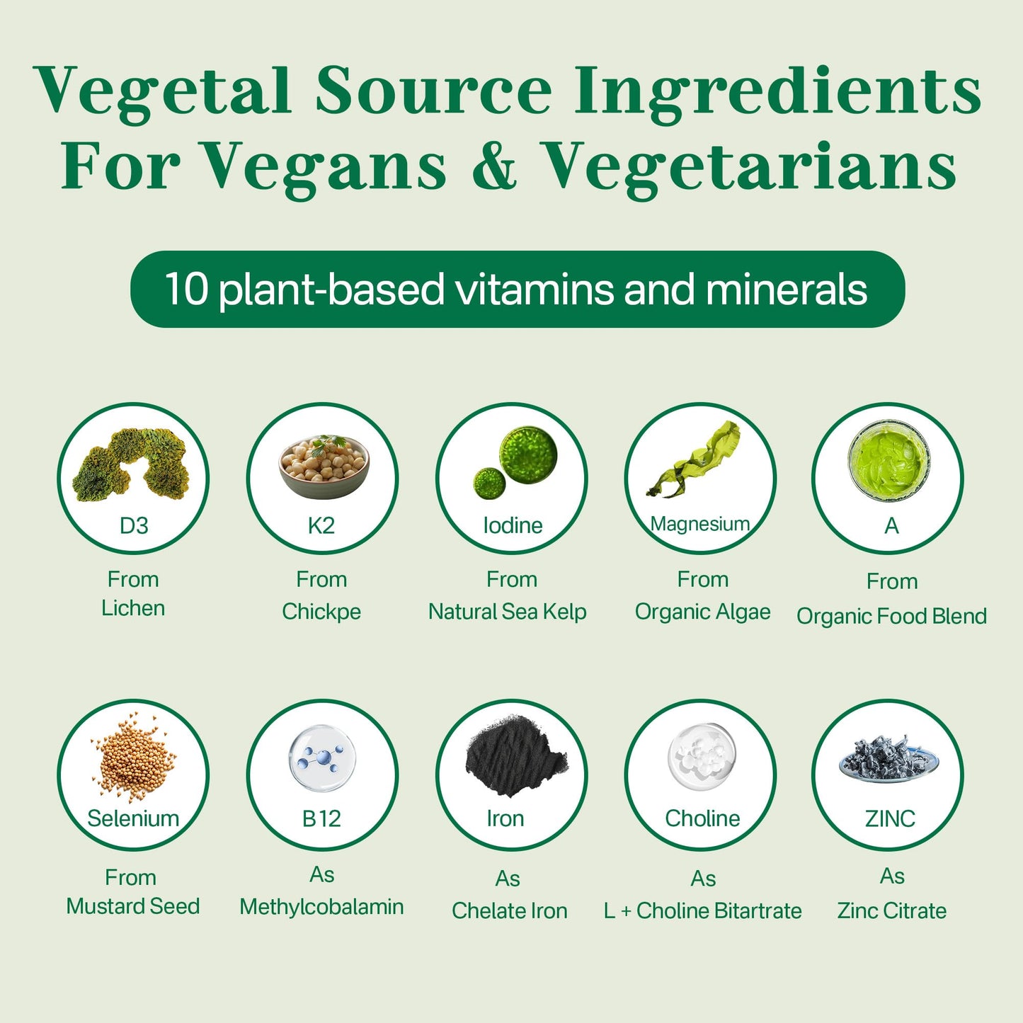 NEVISS Vegan Multivitamin Gummies for Vegans & Vegetarians – Sugar Free, 60 ct