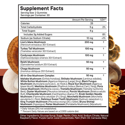 NEW AGE Mushroom Lion's Mane Gummies - 120 Count | Cognitive & Immune Support with Reishi & Cordyceps