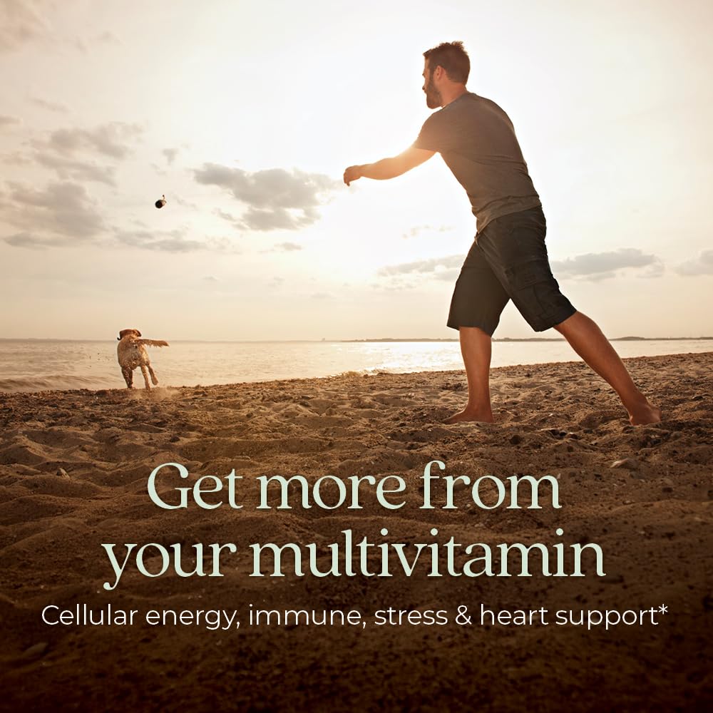New Chapter Men's Multivitamin for Immune, Energy & Heart Health – Fermented Nutrients, Organic Vegetables & Herbs | 48 ct