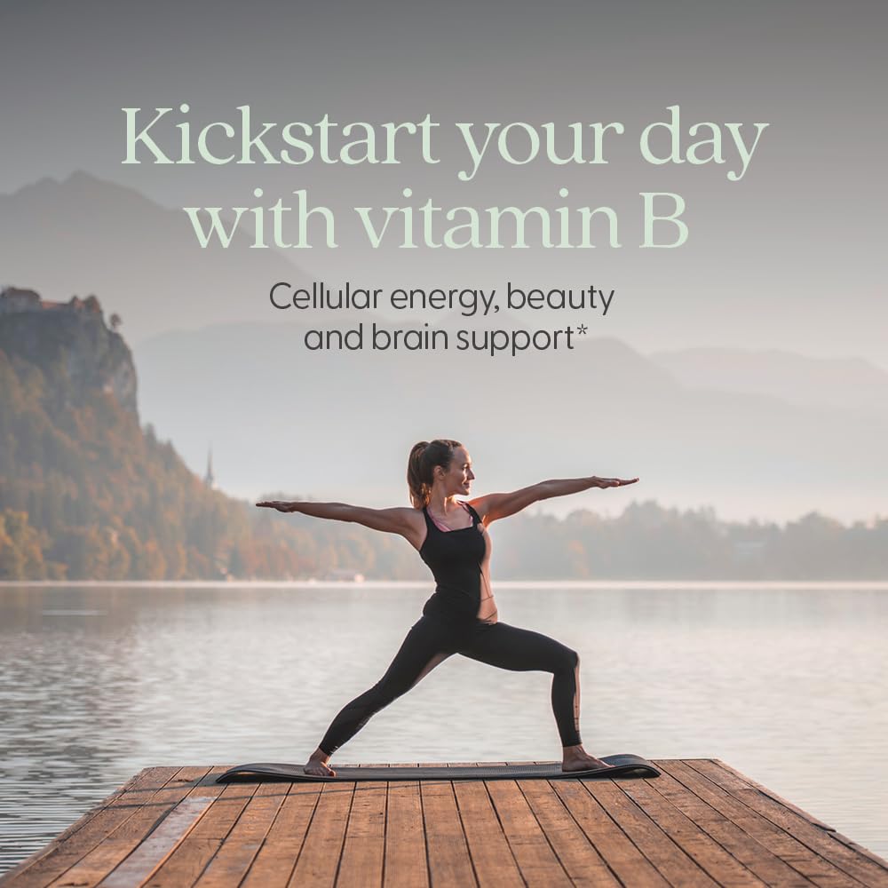 New Chapter Organic Fermented Vitamin B Complex – 30 Count (30 CT)