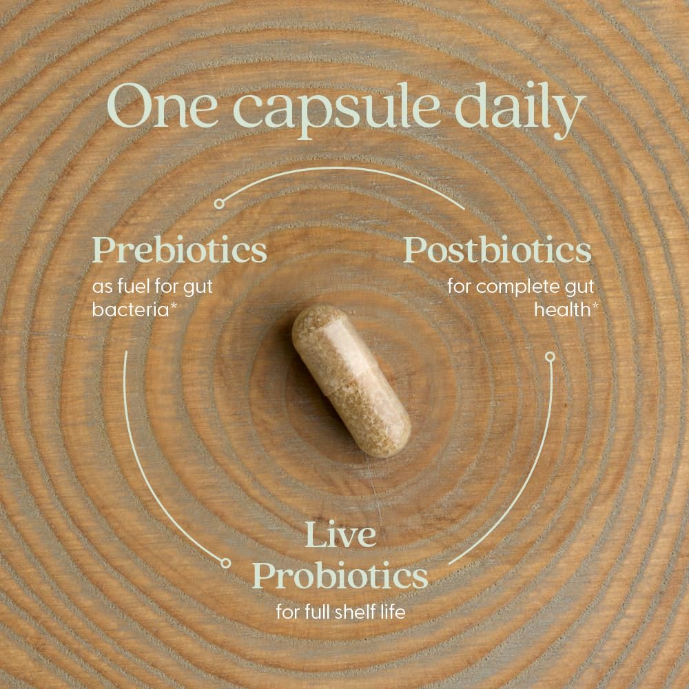 New Chapter Probiotic All-Flora 30 Ct – Advanced Digestion & Gut Health, Vegan, Non-GMO