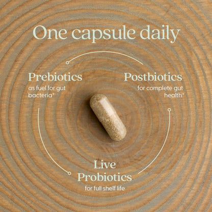 New Chapter Probiotic All-Flora 30 Ct – Advanced Digestion & Gut Health, Vegan, Non-GMO