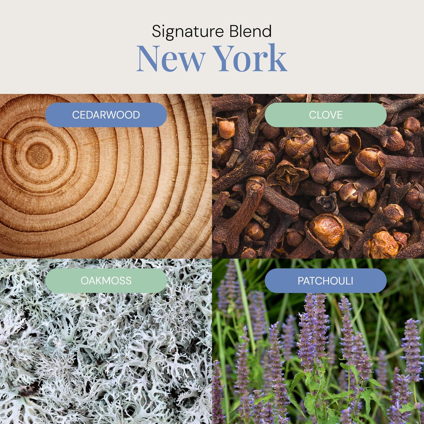 New York Aroma Oil | Essential Oil Blend for Diffusers & Scent Machines | 300 mL