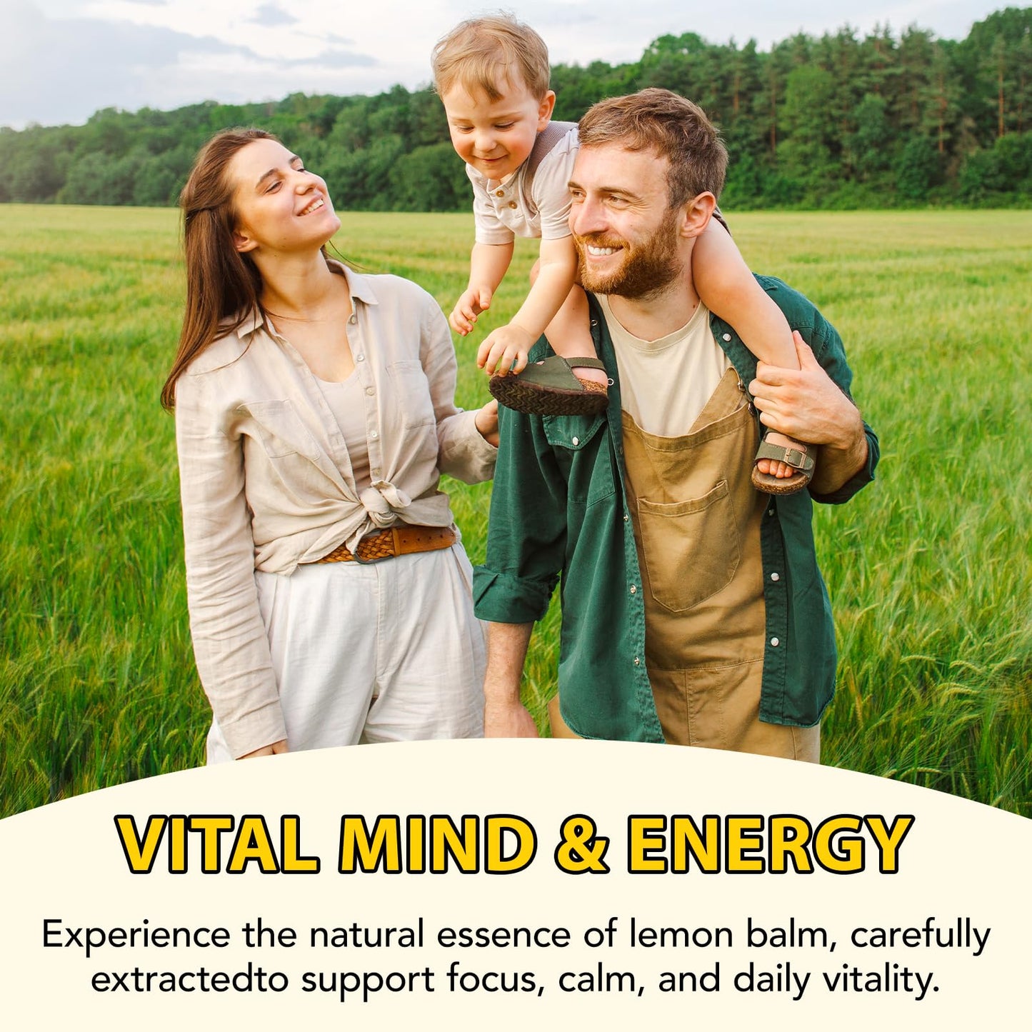 Newseel Lemon Balm Drops – Organic Lemon Balm Extract for Mood Support | Vegan, Gluten Free, Non-GMO | 2.02 fl oz