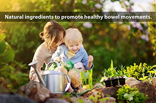 DrFormulas Nexabiotic Multi Probiotic – 60 Count, 23 Strains + S. boulardii