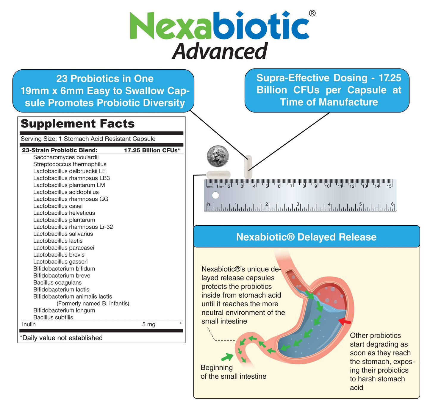 DrFormulas Nexabiotic Multi Probiotic – 60 Count, 23 Strains + S. boulardii