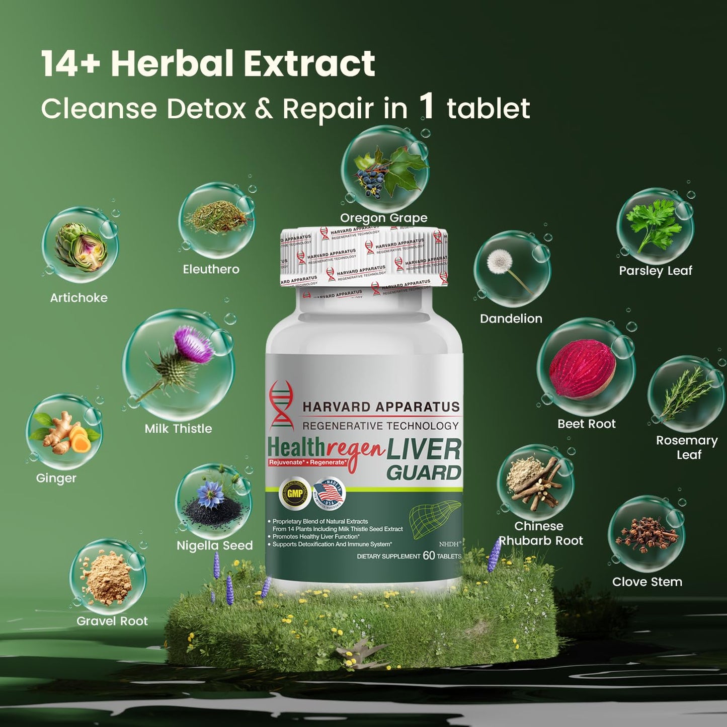NHDH Harvard Apparatus Liver Cleanse Detox & Repair - 14-in-1 Herbal Support, 60 Tablets