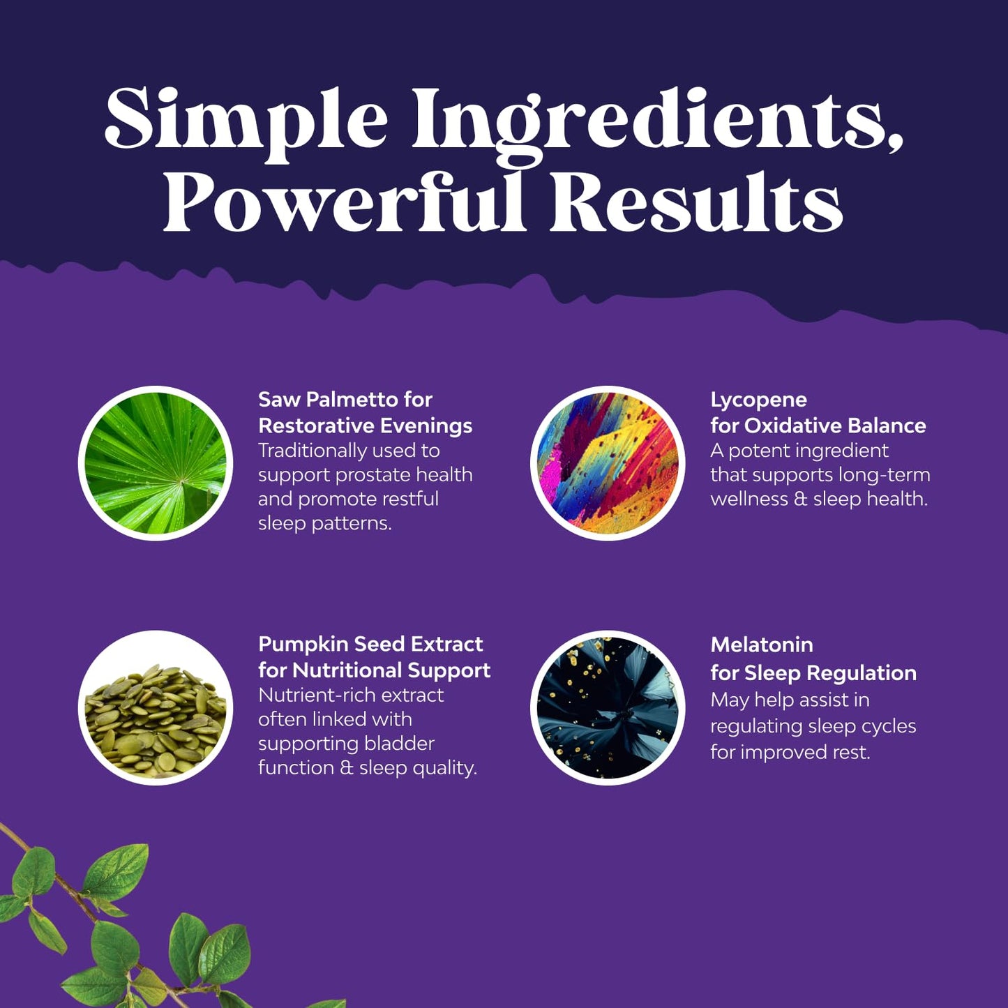 Nighttime Defense Saw Palmetto for Men – Prostate Support & Night Urination Relief