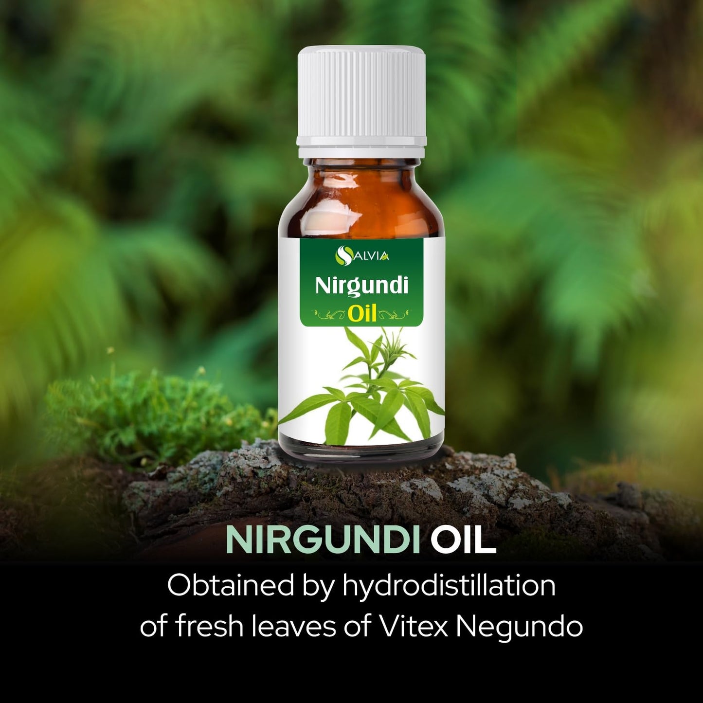 Nirgundi Oil (Vitex negundo) – 100% Natural Therapeutic Essential Oil 30ml