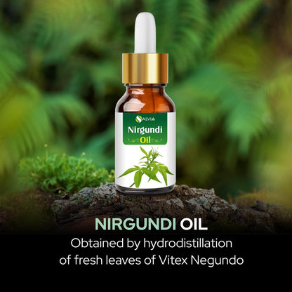 Nirgundi Oil (Vitex negundo) Essential Oil – 0.50 Fl Oz, Pure & Natural, Therapeutic Grade