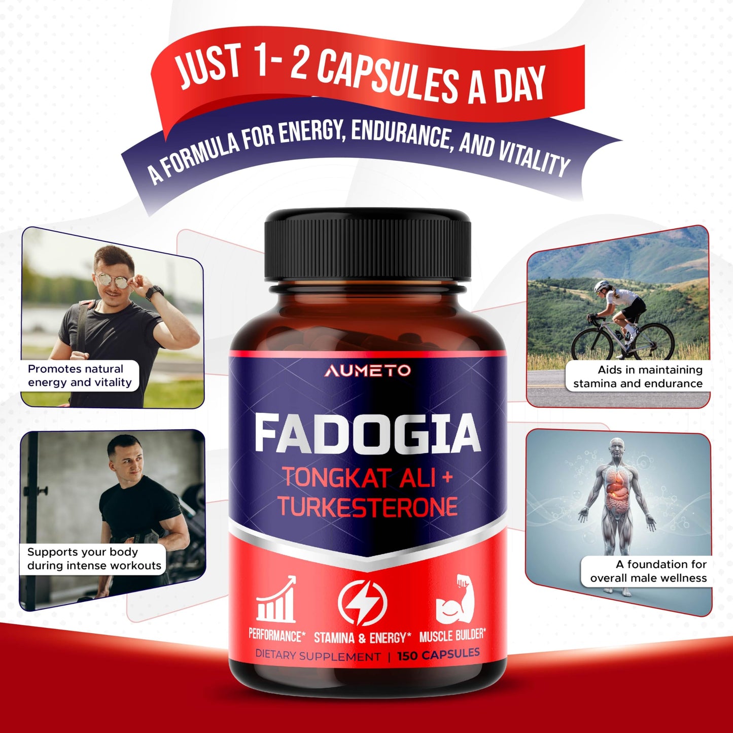 Fadogia Agrestis Supplement with Turkesterone, Tongkat Ali & D3 – Male Energy, Strength & Memory