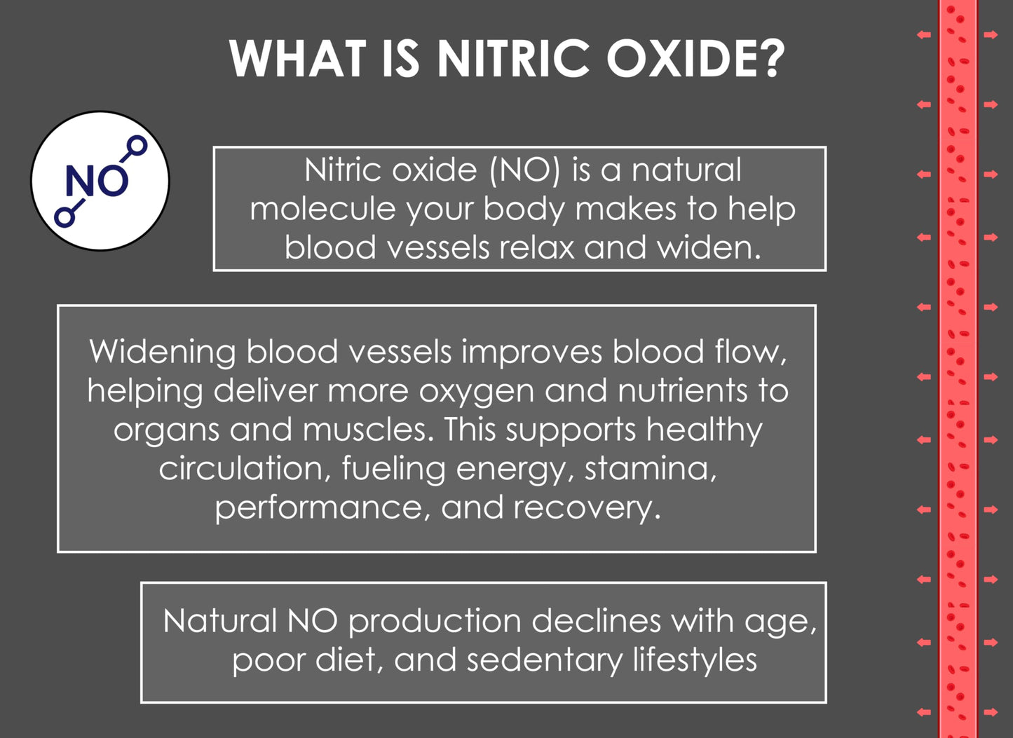 Nitric Oxide Lozenges 120 Count – Supports Blood Pressure, Circulation & Vascular Health