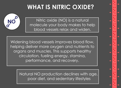 Nitric Oxide Lozenges 120 Count – Supports Blood Pressure, Circulation & Vascular Health