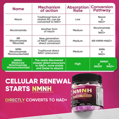 NMNH Gummies 300MG for Longevity – NAD+ Booster with Urolithin A, Polyphenols & Resveratrol | Sugar-Free 60ct