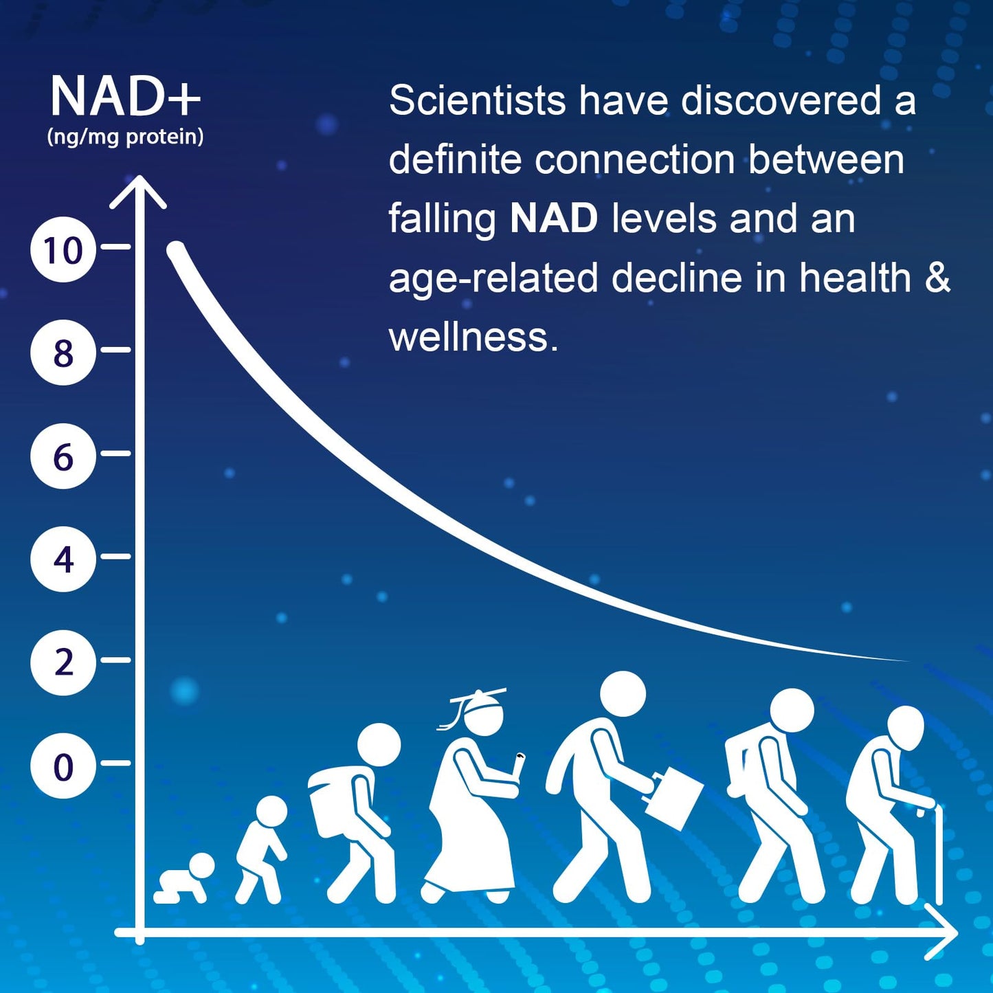 NMNH NMN Supplement – NAD+ Booster, Anti-Aging, 60 Capsules