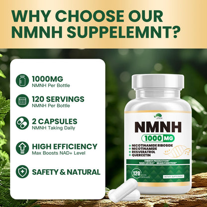 NMNH (Dihydronicotinamide Mononucleotide) NMNH 1000mg - NAD+ Support, Energy & Focus, 120 Capsules