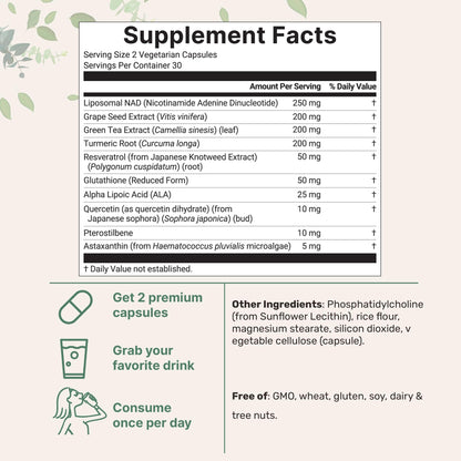 Liposomal NAD+ 1,000mg | 60 Veggie Capsules | Anti-Aging & Energy
