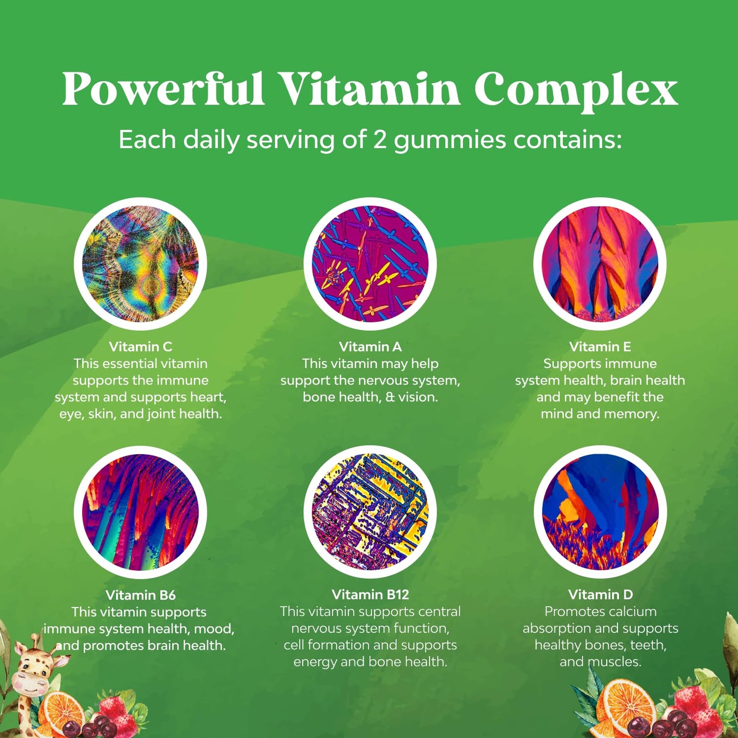 Plant Based Kids Multivitamin Gummies - Immune Support for Children (90 Count)