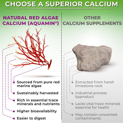 Plant-Based Calcium 500mg (Aquamin) – Vegan CaMgZnD3 + K2, Turmeric (90 ct)