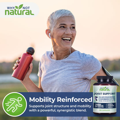 Why Not Natural Glucosamine Chondroitin, MSM, Joint Support Supplements | Knee Pain & Joint Health