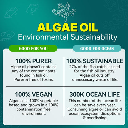 Algae Omega-3 Gummies 1000mg | Vegan DHA 460mg EPA 230mg | 60 Count