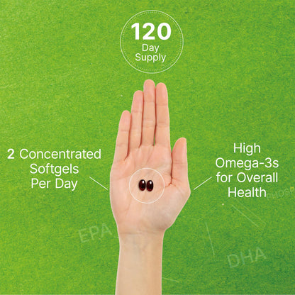 Antarctic Krill Oil 1,000mg – 240 Softgels | Mercury Free, No Fishy Taste | Omega-3 EPA/DHA