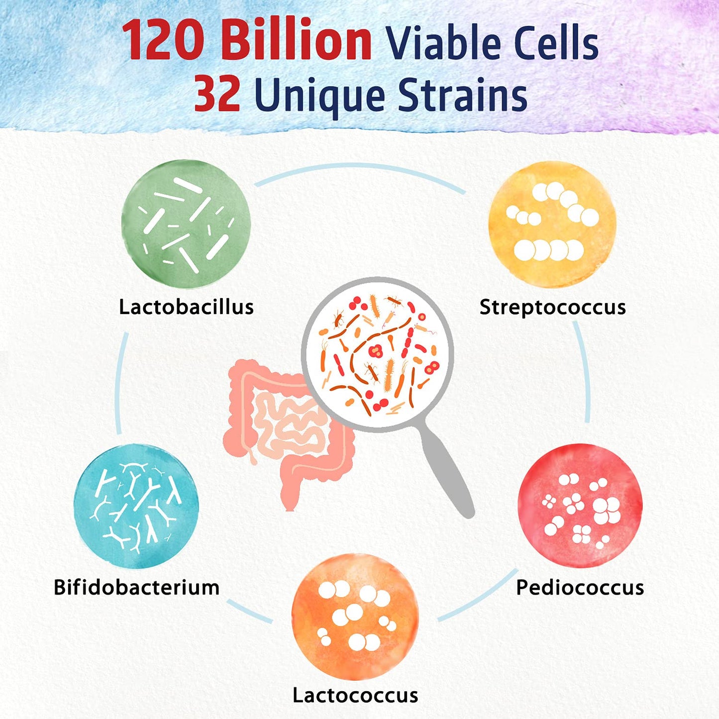 Bonawell Probiotics 120B CFU - 32 Strains with Prebiotics & Enzymes