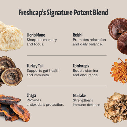 FreshCap Mushrooms Coffee 12,000 mg – Organic 6 Adaptogenic Mushrooms