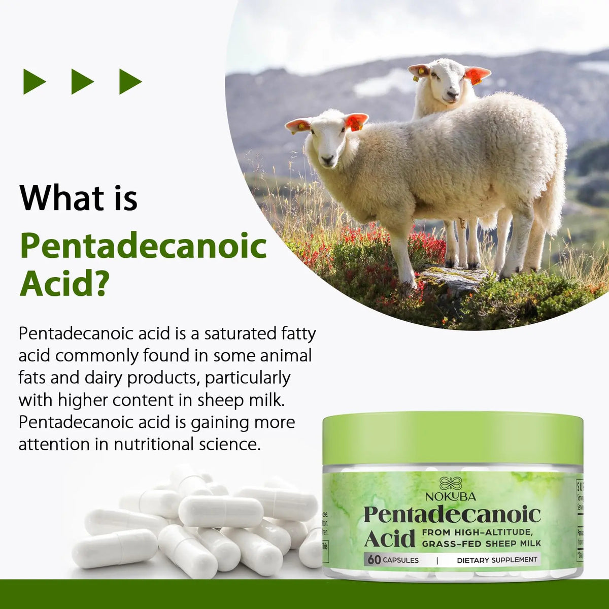 Nokuba Pentadecanoic Acid C15:0 300mg – High-Altitude Sheep Milk Sourced, 120 Capsules | USA Made BritishVita | Premium UK Vitamins & Wellness Supplements