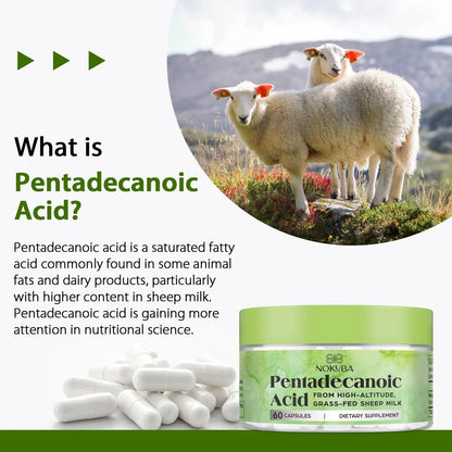 Nokuba Pentadecanoic Acid C15:0 300mg – High-Altitude Sheep Milk Sourced, 120 Capsules | USA Made BritishVita | Premium UK Vitamins & Wellness Supplements
