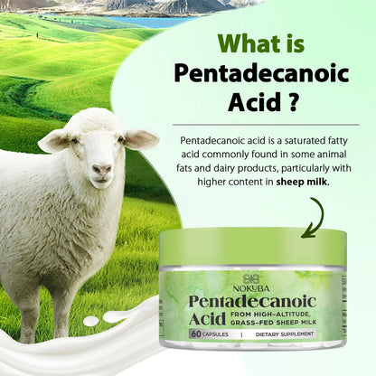Nokuba Pentadecanoic Acid C15:0 300mg – High-Altitude Sheep Milk Sourced, 120 Capsules | USA Made BritishVita | Premium UK Vitamins & Wellness Supplements
