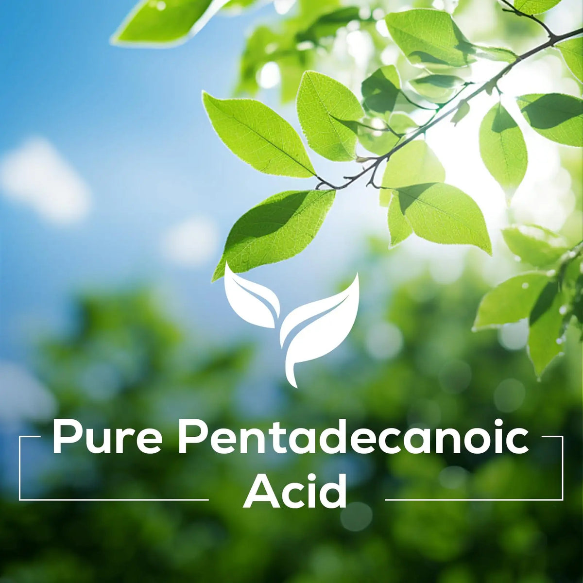 Nokuba Pentadecanoic Acid C15:0 300mg – High-Altitude Sheep Milk Sourced, 120 Capsules | USA Made BritishVita | Premium UK Vitamins & Wellness Supplements