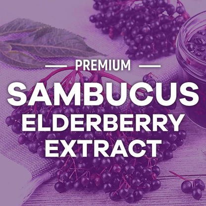 Elderberry Gummies with Vitamin C, D3 & Zinc – Immune Support for Kids & Adults (120 Gummies)