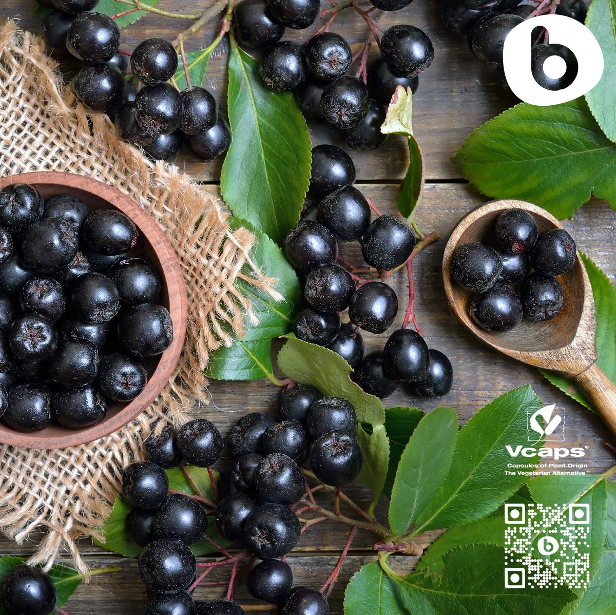 Organic Aronia Berry Capsules – Immune Support, 500mg | 90 Vegan Caps